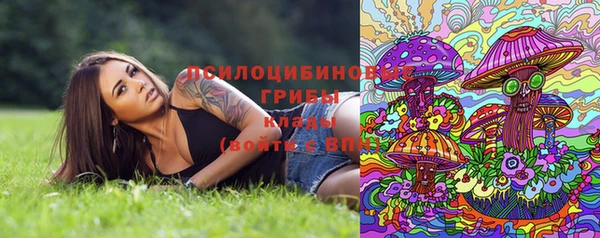 прущий лед Арсеньев