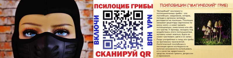 Псилоцибиновые грибы Psilocybe  Белорецк 